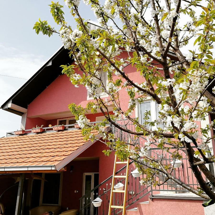 Apartments "Predah Kod Baraca" Ni المظهر الخارجي الصورة